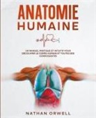 Nathan Orwell - Anatomie Humaine