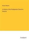 Richard Webster - A History of the Presbyterian Church in America
