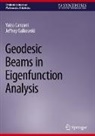 Yaiza Canzani, Jeffrey Galkowski - Geodesic Beams in Eigenfunction Analysis