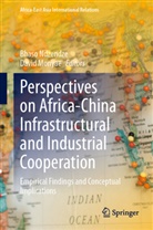 Monyae, David Monyae, Ndzendze, Bhaso Ndzendze - Perspectives on Africa-China Infrastructural and Industrial Cooperation