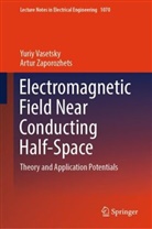 Yuriy Vasetsky, Artur Zaporozhets - Electromagnetic Field Near Conducting Half-Space