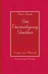 Peter Hacks, Marlon Grohn - Die Verteidigung Goethes