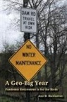 Alan M MacEachren - A Geo-Big Year