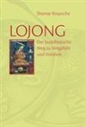 Künzig Shamar Rinpoche - Lojong