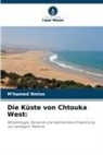 M'hamed Nmiss - Die Küste von Chtouka West: