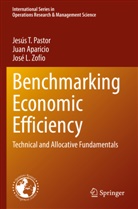 Juan Aparicio, Jesús T Pastor, Jesús T. Pastor, José L Zofío, José L. Zofío - Benchmarking Economic Efficiency