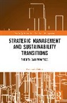 Michael Zhang, Zhang Michael - Strategic Management and Sustainability Transitions