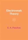 E A Paschos, E. A. Paschos, E. A. (Universitat Dortmund) Paschos - Electroweak Theory