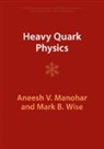 Aneesh V Manohar, Aneesh V. Manohar, Aneesh V. (University of California Manohar, Manohar Aneesh V., Mark B Wise, Mark B. Wise... - Heavy Quark Physics
