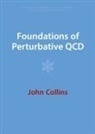 John Collins, John (Pennsylvania State University) Collins - Foundations of Perturbative Qcd