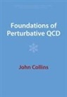John Collins, John (Pennsylvania State University) Collins - Foundations of Perturbative Qcd