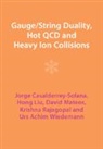 Jorge Casalderrey-Solana, Jorge (Universitat De Barcelon Casalderrey-Solana, Jorge (Universitat de Barcelona) Casalderrey-Solana, Casalderrey-Solana Jorge, Hong Liu, Hong (Universitat de Barcelona) Liu... - Gauge/string Duality, Hot Qcd and Heavy Ion Collisions