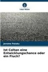 Jerome Paluku - Ist Coltan eine Entwicklungschance oder ein Fluch?
