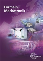 Gregor Häberle, Konstanti Häberle, Konstantin Häberle, Verena Häberle, Verena u Häberle, Bernd Schiemann... - Formeln Mechatronik