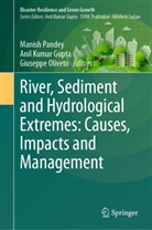 Anil Kumar Gupta, Anil Kumar Gupta, Giuseppe Oliveto, Manish Pandey - River, Sediment and Hydrological Extremes: Causes, Impacts and Management