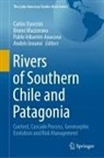 Pablo Iribarren Anacona, Pablo Iribarren Anacona et al, Andrés Iroumé, Bruno Mazzorana, Carlos Oyarzún - Rivers of Southern Chile and Patagonia