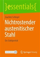 Joachim Schlegel - Nichtrostender austenitischer Stahl