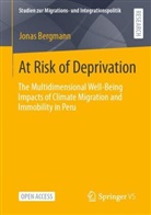 Jonas Bergmann - At Risk of Deprivation