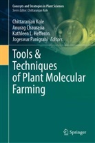Anurag Chaurasia, Kathleen L. Hefferon, Chittaranjan Kole, Kathleen L Hefferon et al, Jogeswar Panigrahi - Tools & Techniques of Plant Molecular Farming