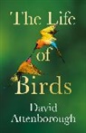 David Attenborough - The Life of Birds
