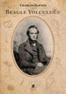 Charles Darwin - Beagle Yolculugu