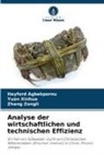 Hayford Agbekpornu, Yuan Xinhua, Zhang Zongli - Analyse der wirtschaftlichen und technischen Effizienz