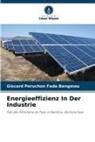 Giscard Péruchon Fada Bangmou - Energieeffizienz In Der Industrie