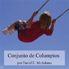 David E. McAdams - Conjunto de Columpios