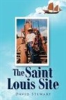 David Stewart - The Saint Louis Site