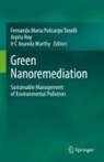 H C Ananda Murthy, H C Ananda Murthy, Fernanda Maria Policarpo Tonelli, Arpita Roy - Green Nanoremediation