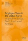 Toyin Adisa, Toyin Ajibade Adisa, Chima Mordi, Emeka Oruh - Employee Voice in the Global North