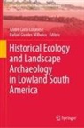 André Carlo Colonese, André Carlo Colonese, Guedes Milheira, Rafael Guedes Milheira - Historical Ecology and Landscape Archaeology in Lowland South America