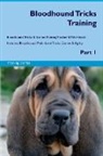 Training Central - Bloodhound Tricks Training Bloodhound Tricks & Games Training Tracker & Workbook. Includes