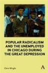 Chris Wright - Popular Radicalism and the Unemployed in Chicago During the Great