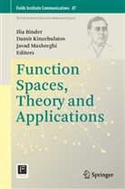 Ilia Binder, Damir Kinzebulatov, Javad Mashreghi - Function Spaces, Theory and Applications