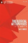 Ray C Robles, Ray C. Robles - Theological Metaphysics