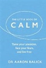 Aaron Balick - The Little Book of Calm
