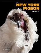 Andrew Garn, Garn Andrew - The New York Pigeon