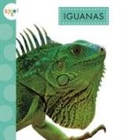 Alissa Thielges - Iguanas