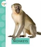 Alissa Thielges - Monkeys