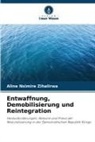 Aline Nsimire Zihalirwa - Entwaffnung, Demobilisierung und Reintegration