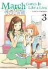 Chica Umino, Umino Chica - March Comes in Like a Lion, Volume 3