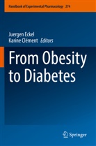 Clément, Karine Clément, Juergen Eckel - From Obesity to Diabetes