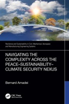 Bernard Amadei, Bernard (University of Colorado Amadei, Amadei Bernard - Navigating the Complexity Across the Peacesustainabilityclimate