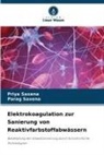 Parag Saxena, Priya Saxena - Elektrokoagulation zur Sanierung von Reaktivfarbstoffabwässern
