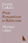 Michael Loewy, Michael Lowy, Michael Löwy - Georg Lukacs