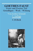 Jochen Schmidt - Goethes Faust Erster und Zweiter Teil