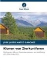 José Justo Mateo Sánchez - Klonen von Zierkoniferen