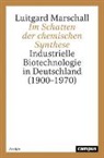 Luitgard Marschall - Im Schatten der chemischen Synthese