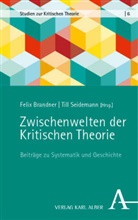 Felix Brandner, Seidemann, Till Seidemann - Zwischenwelten der Kritischen Theorie